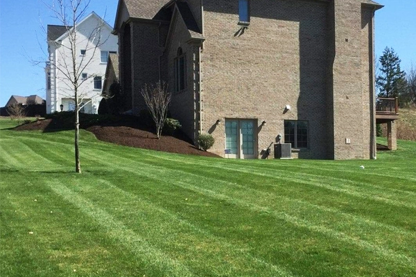 Home in McMurray, PA with professional lawn care and landscaping services.