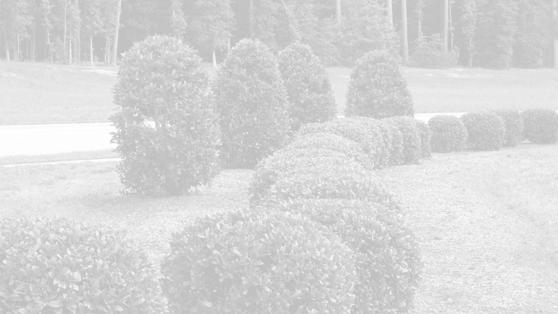 Perfectly trimming shrubs at a home in Washington, PA.