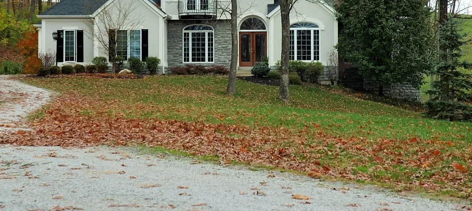 Leaves littering the front lawn of a home in Canonsburg, ready for a fall yard clean up.