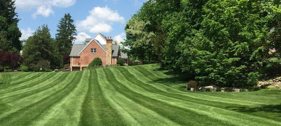 Recently mowed large lawn with mowing stripes at home in McMurray, PA.