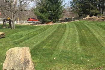 A lawn mowed by our team with professional lawn stripping.